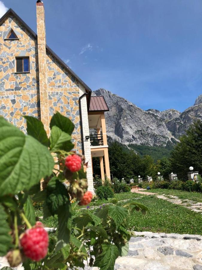 Hotel Cold Spring à Theth Extérieur photo